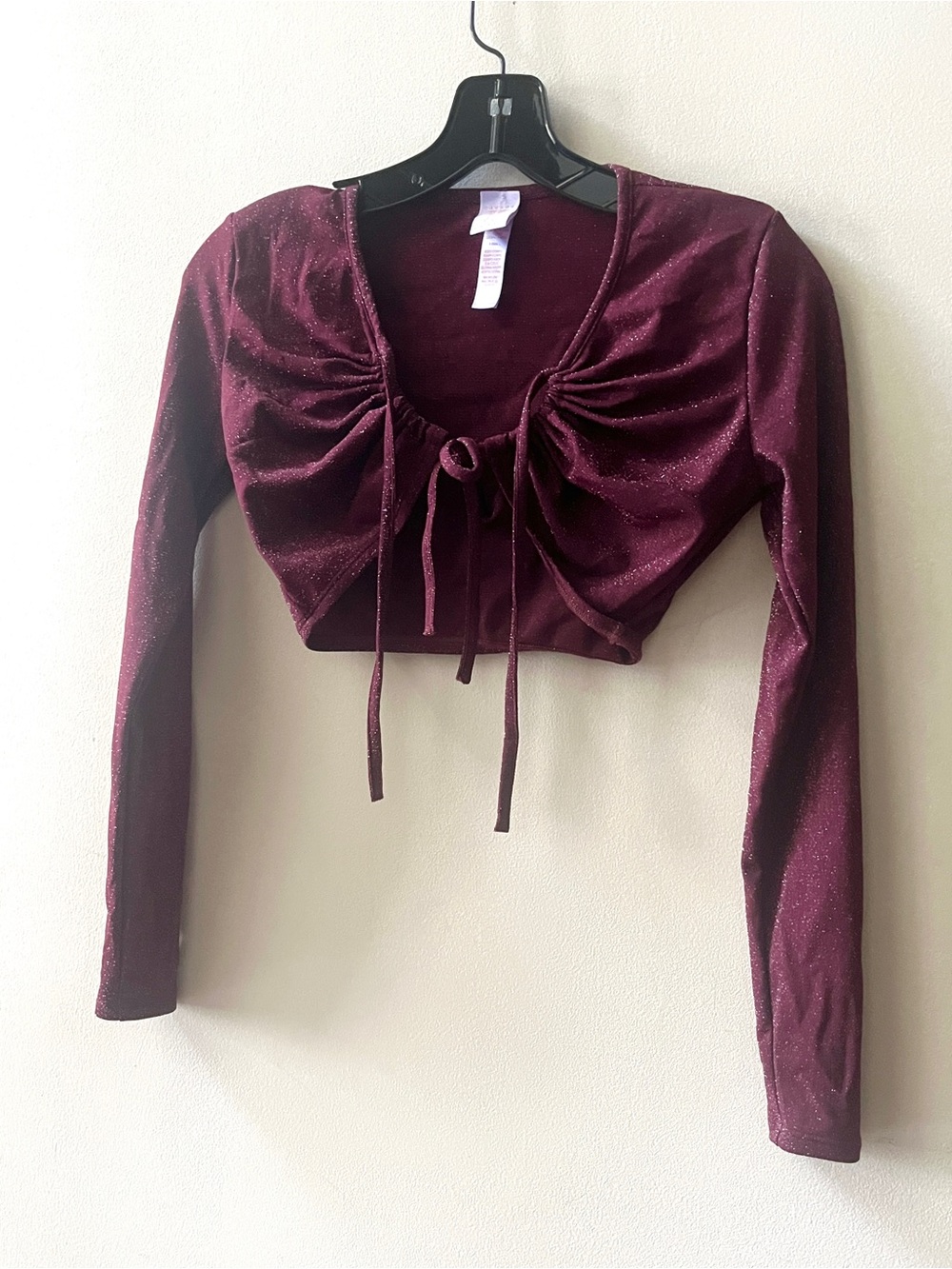 Savage x Fenty sparkling long sleeve burgundy crop top tee.